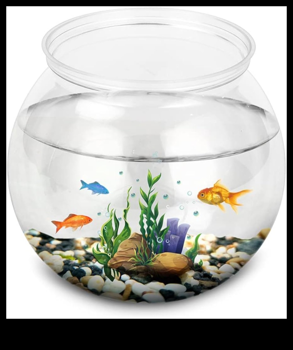 Zivju tvertņu modes skate: akvārija mājdzīvnieku veidošana ar piederumiem