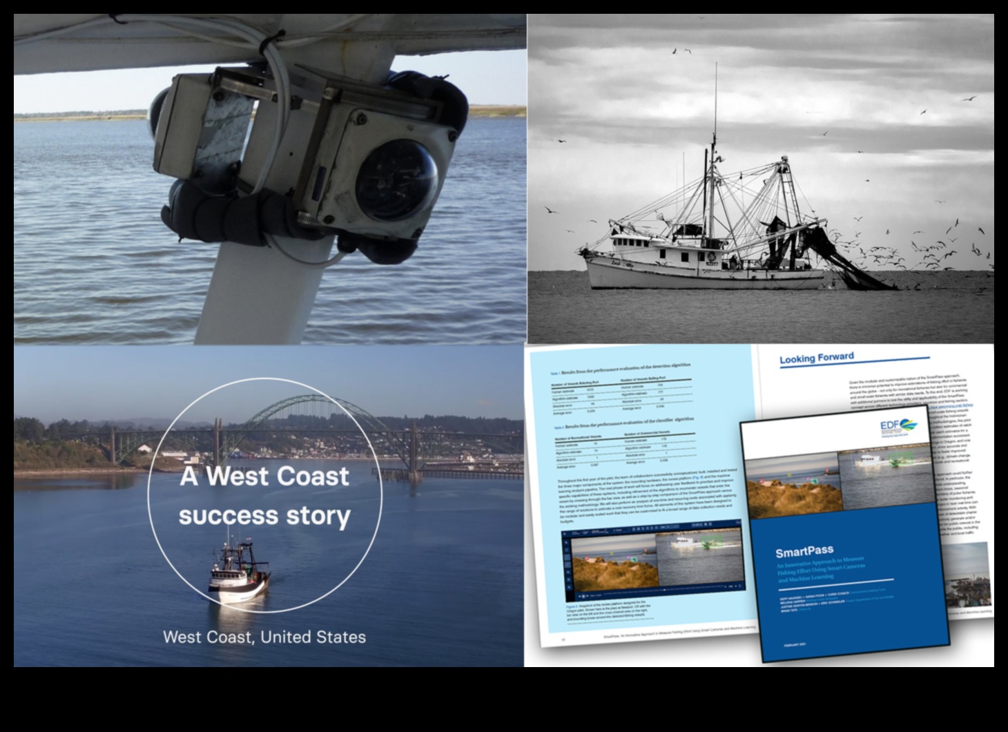 Zivju audzēšanas hronikas: jūras velšu nozares revolūcija