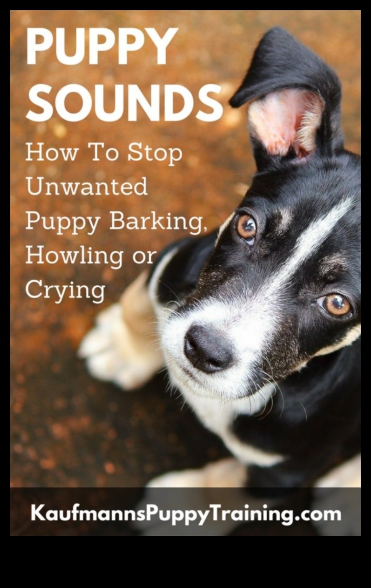 Raudoša harmonija Suņa riešanas izpratne un uzrunāšana 3 Raudoša harmonija: Suņa riešanas izpratne un uzrunāšana