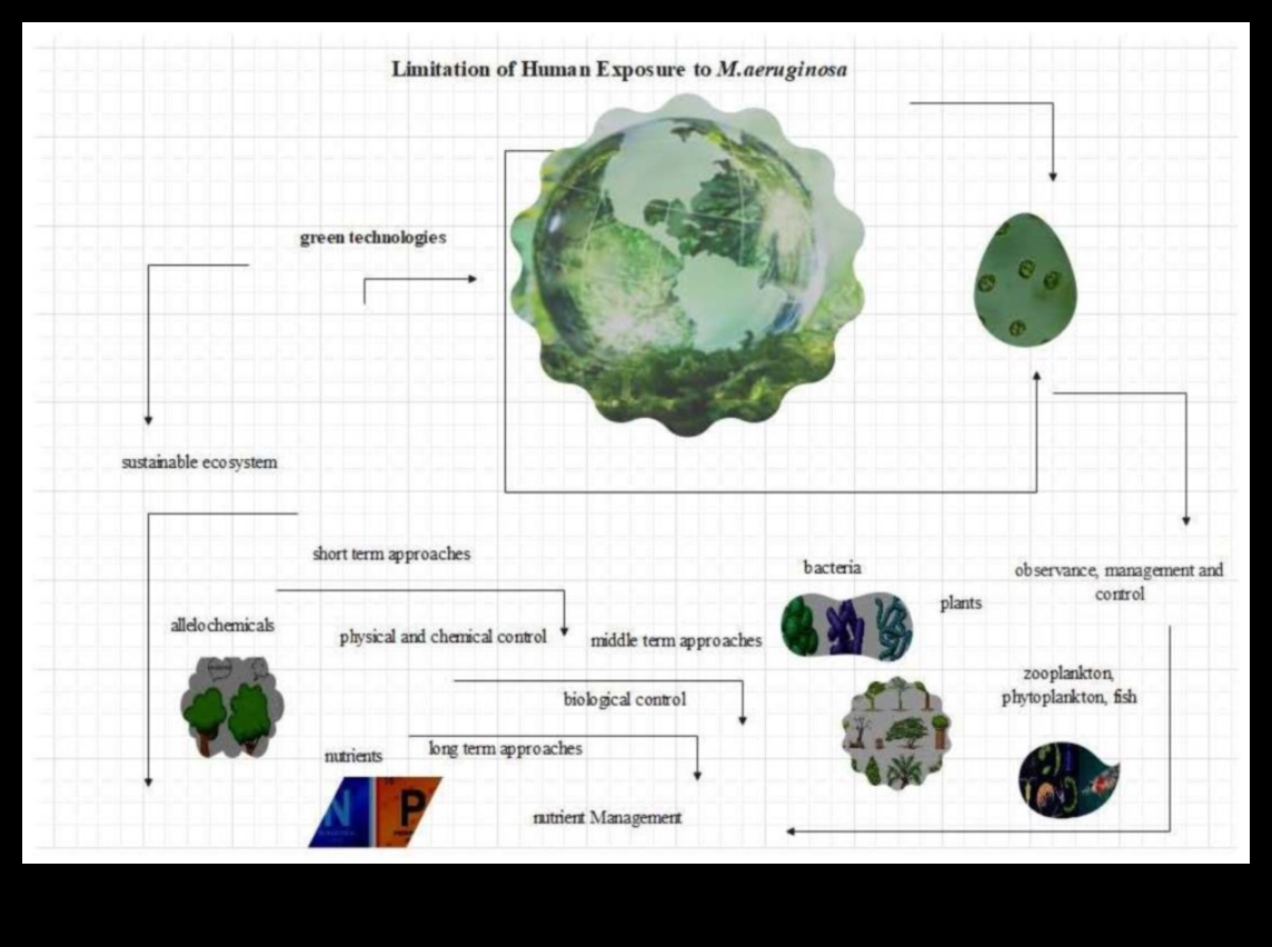 Vides izteiksmes evolūcija: zaļā tehnoloģija cauri laikmetiem
