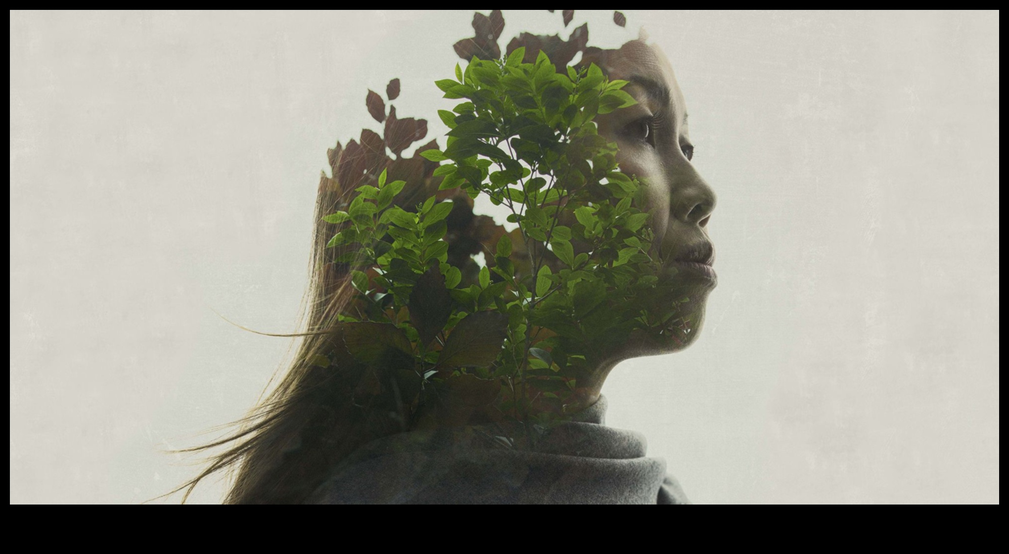 Zaļās ietekmes projektēšana: māksla, kas atstāj noturīgu, atjaunojamu iespaidu