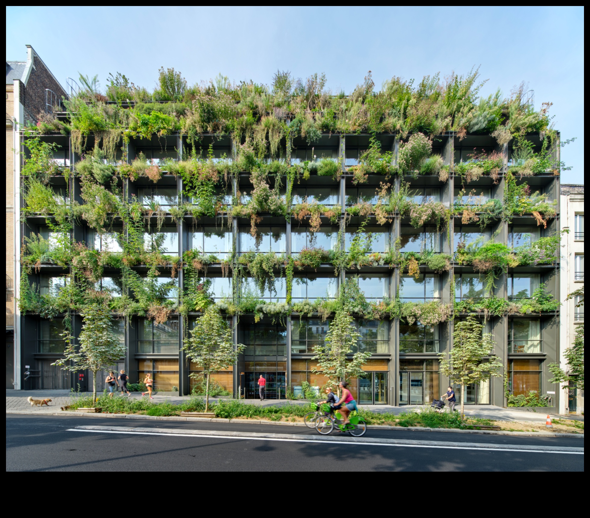 Dinamiski zaļie prieki: radošās mākslas un ilgtspējīgu risinājumu pasaules izpēte