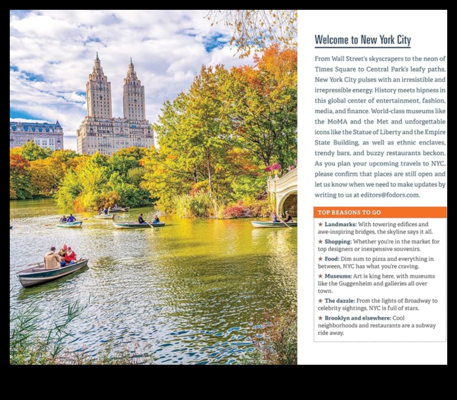 Vietējo orientieru apgaismojums: ceļvedis caur tuvumā esošajām ikonām