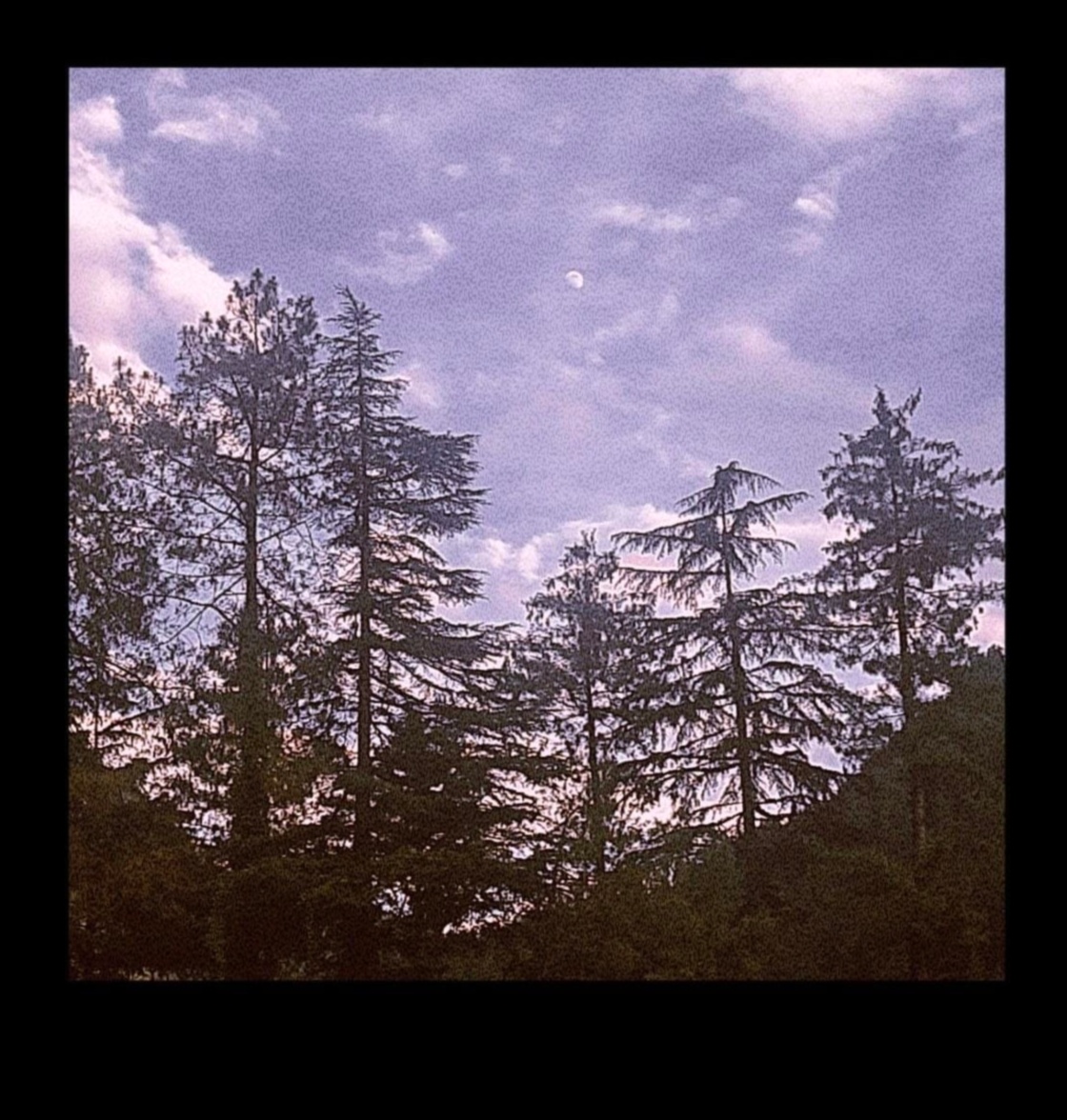 Viesabonēšanas rapsodija: ceļotāja izpētes simfonija