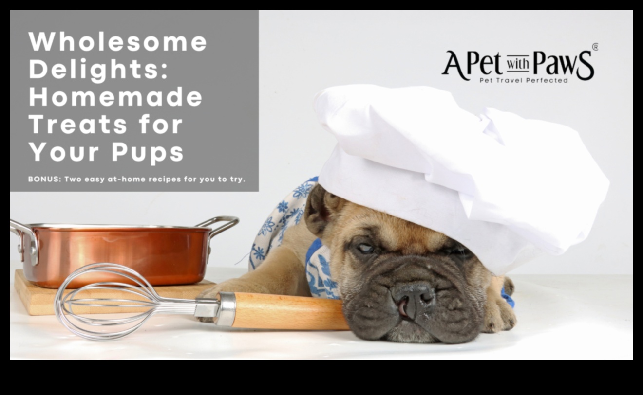 Doggy Delights: mājās gatavotu kārumu receptes patiks jūsu kucēnam