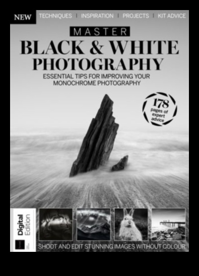 Nākotnes ierāmēšana: iedziļinieties fotogrāfijas izglītībā, lai radītu radošu meistarību