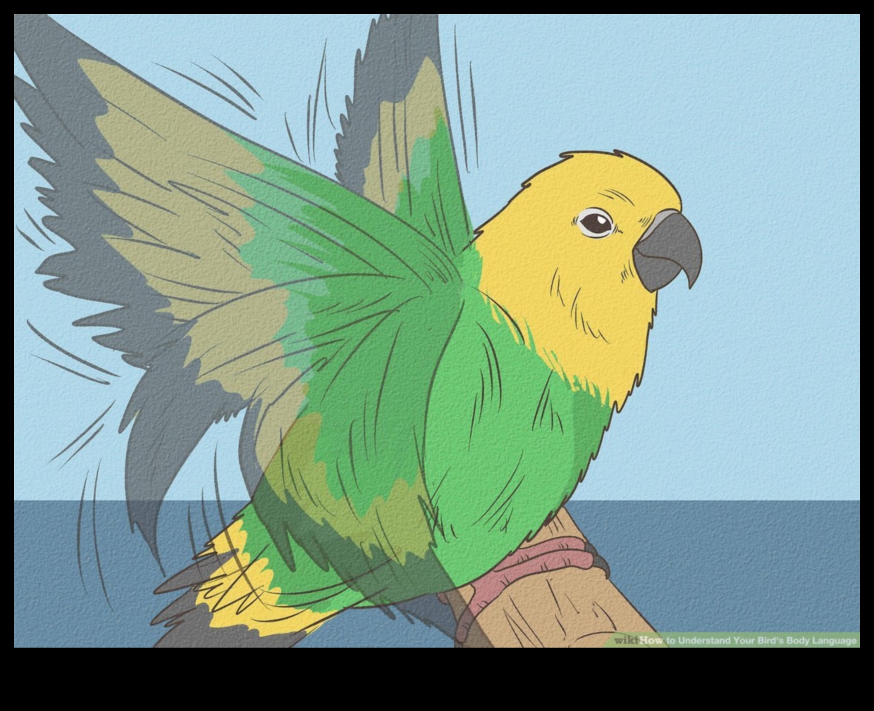 Putnu valoda 2.0: jaunu atklājumu atklāšana putnu komunikācijā