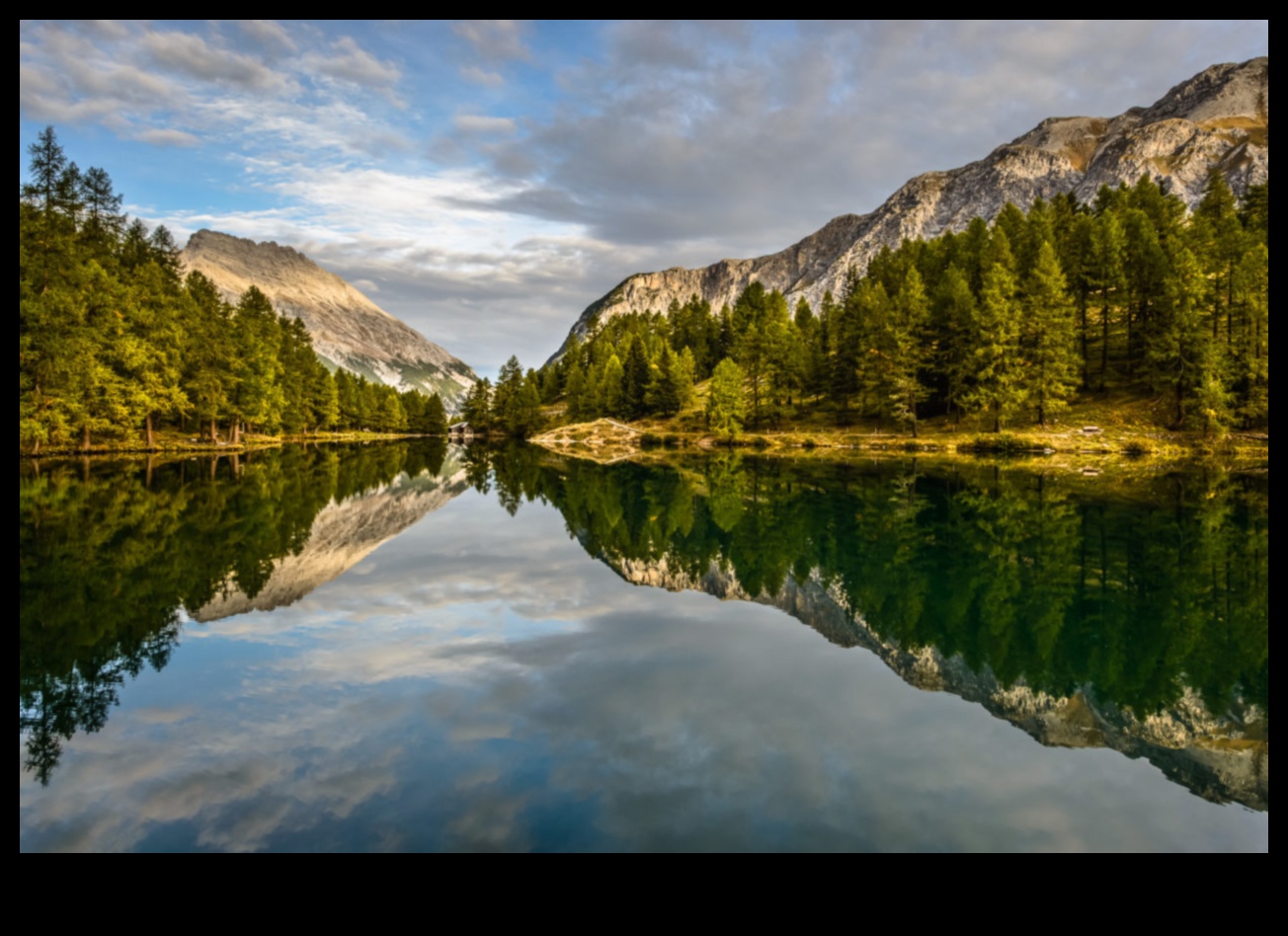 Snapshot Serenity: mierīgi mirkļi ceļojumu tvertnēs