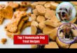 Doggy Delights: mājās gatavotu kārumu receptes patiks jūsu kucēnam