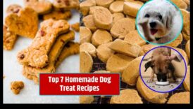 Doggy Delights: mājās gatavotu kārumu receptes patiks jūsu kucēnam