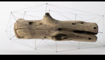 Zaļās ietekmes projektēšana: māksla, kas atstāj noturīgu, atjaunojamu iespaidu