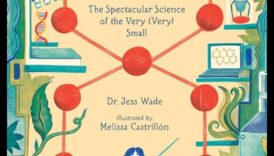 Mākslinieciskums nanozinātnēs: nanotehnoloģiju amatniecības apgūšana