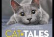 Populārākās kaķu pasakas: stāsti par kaķu drosmi un draudzību