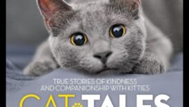 Populārākās kaķu pasakas: stāsti par kaķu drosmi un draudzību