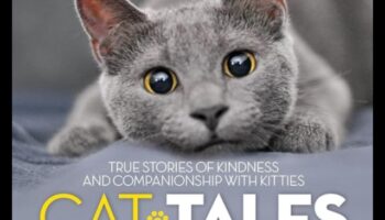 Populārākās kaķu pasakas: stāsti par kaķu drosmi un draudzību