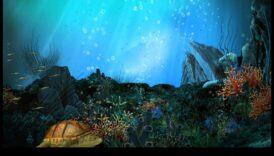 Ūdens piedzīvojumi: zemūdens brīnumi fotogrāfijā