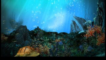 Ūdens piedzīvojumi: zemūdens brīnumi fotogrāfijā