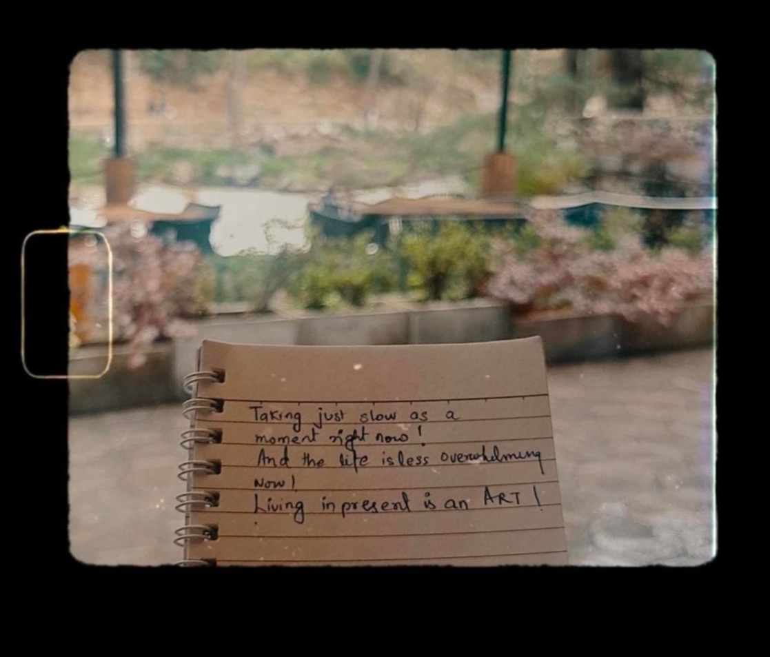 Viesabonēšanas rapsodija: ceļotāja izpētes simfonija