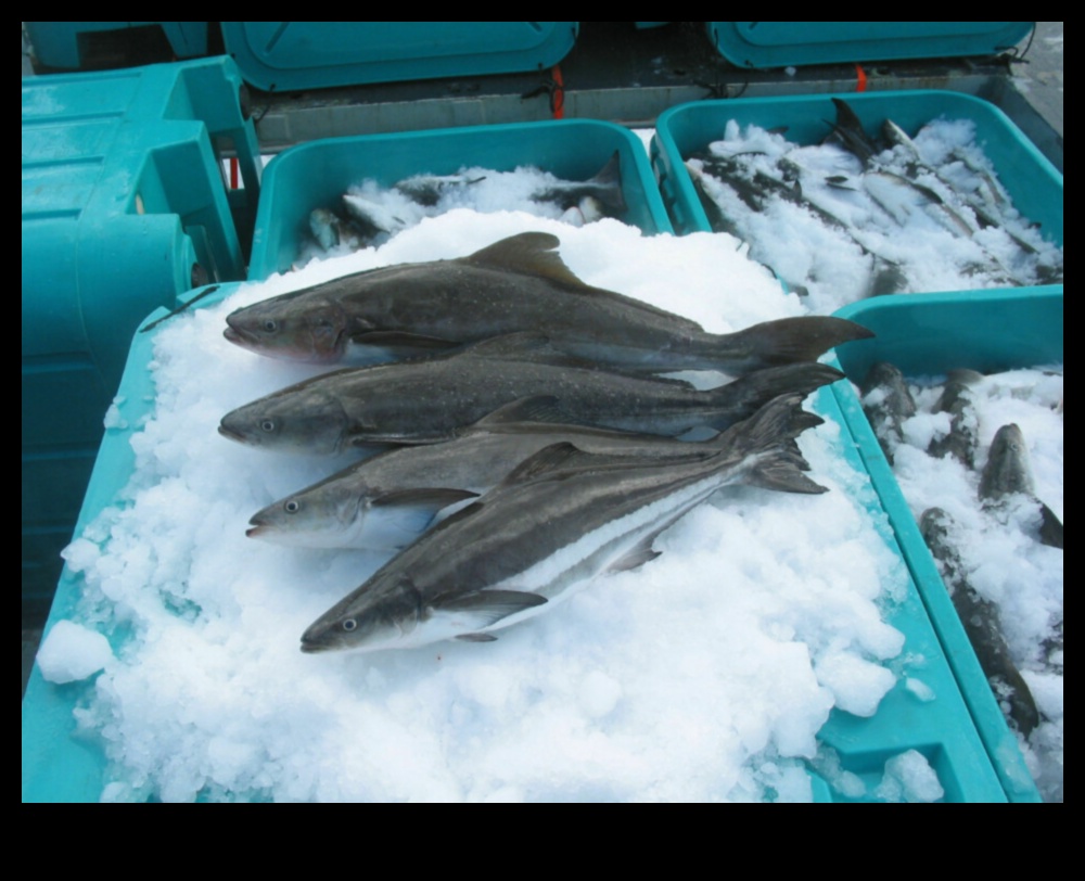 Zivju audzēšanas hronikas: jūras velšu nozares revolūcija