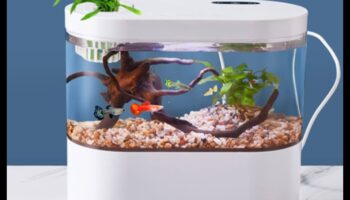 Zivju tvertņu modes skate: akvārija mājdzīvnieku veidošana ar piederumiem